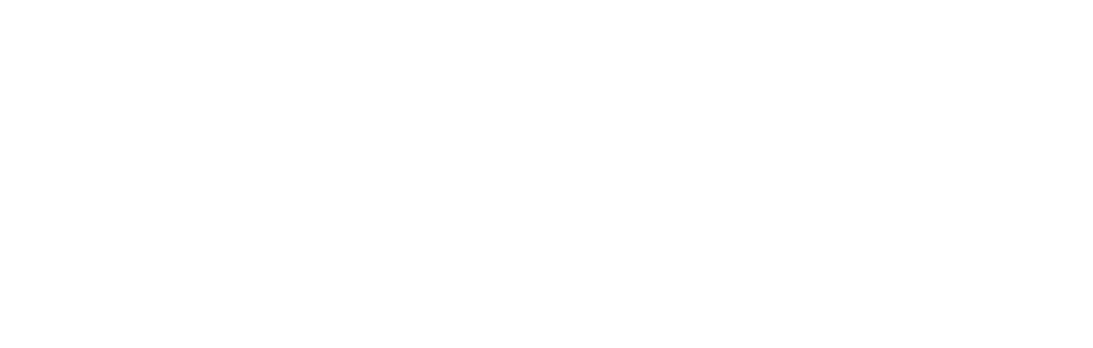 EduRise for Development